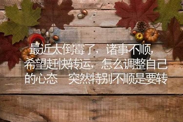 梦到别人捡我的钱