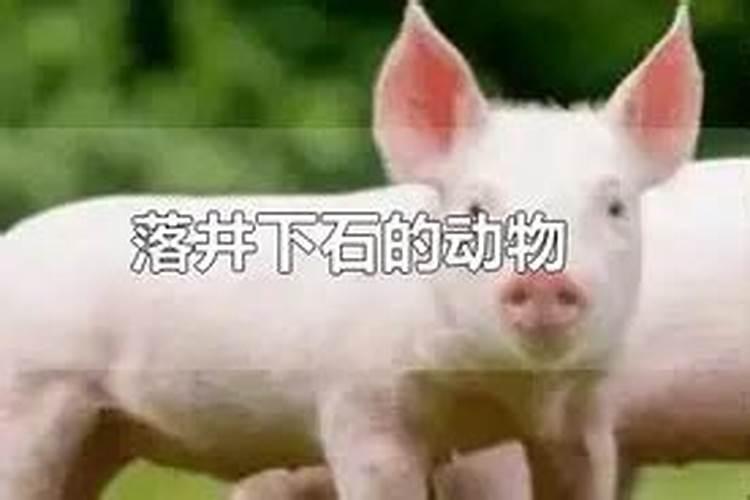 三月六号财神方位是什么