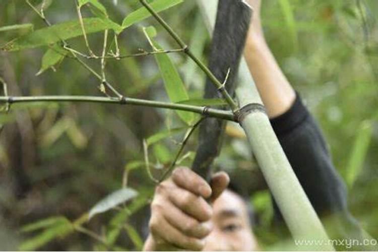 梦见河水清澈见底还有鱼