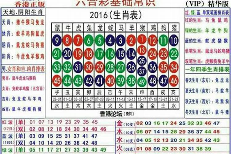 今天冲什么生肖老黄历2月24