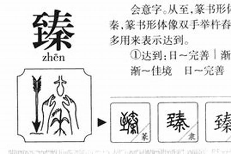 双鱼座喜欢什么样的女生星座