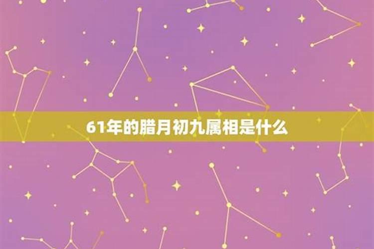 阳历2月15是什么星座