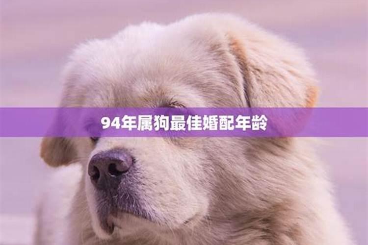 94年属狗什么时候结婚