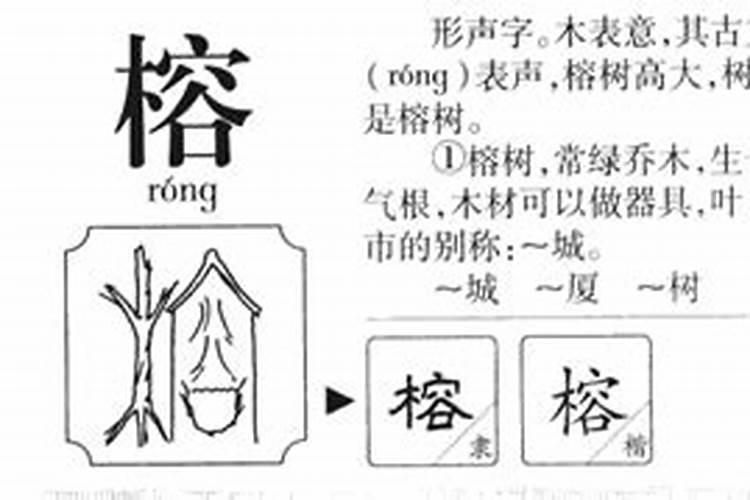 榕字五行属什么