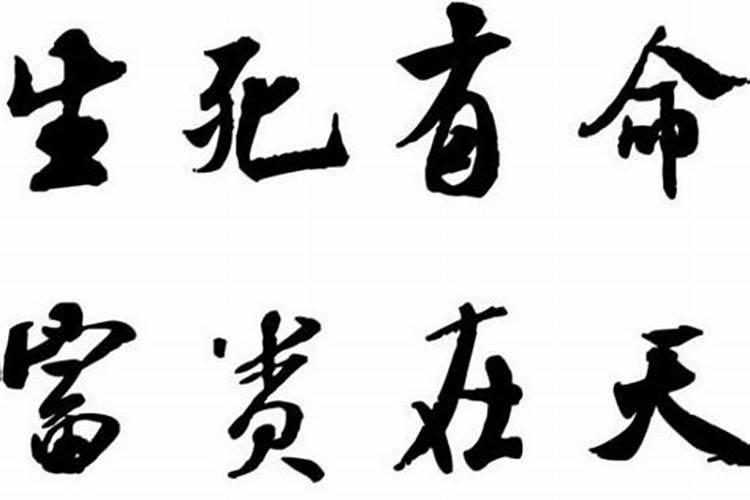 鹿晗关晓彤生肖相克