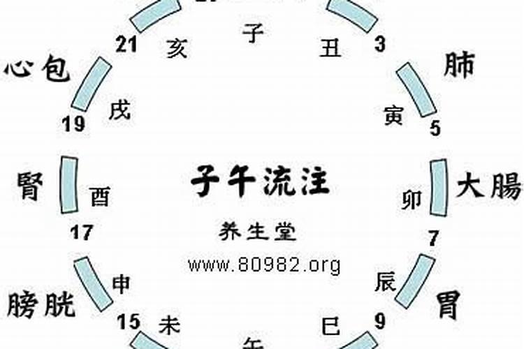 属马的2023年