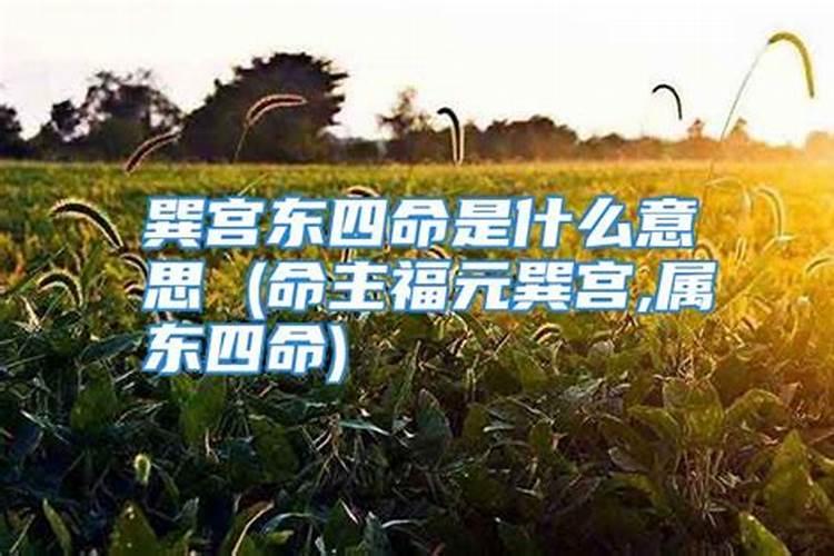 孕妇梦见鳄鱼追着自己跑