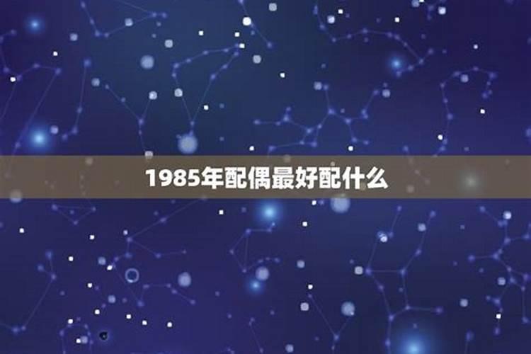 1985年属什么的