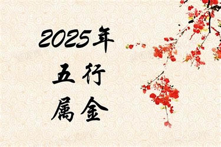 2025年是什么生肖年