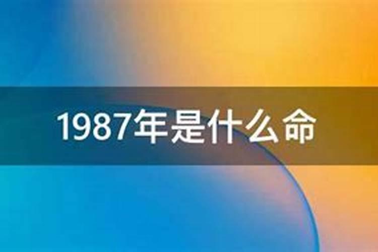 1997年的五行什么命