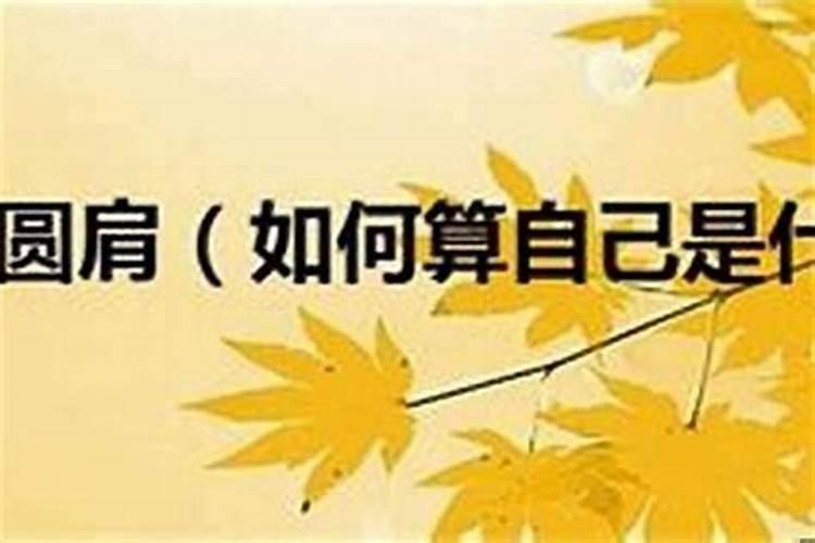 梦见自己出轨了怎么回事女生周公解梦