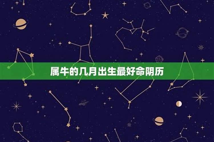 11月25是什么星座是什么星座