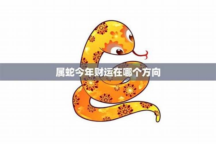 属蛇今年财运和运势