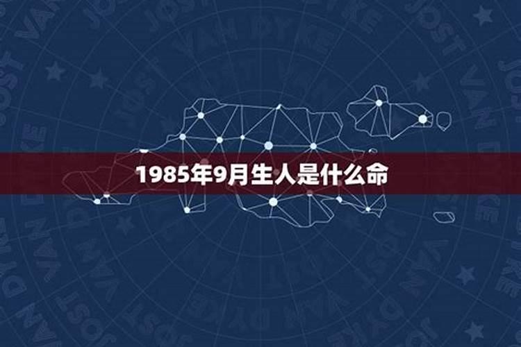 梦到老鼠预示着什么解梦