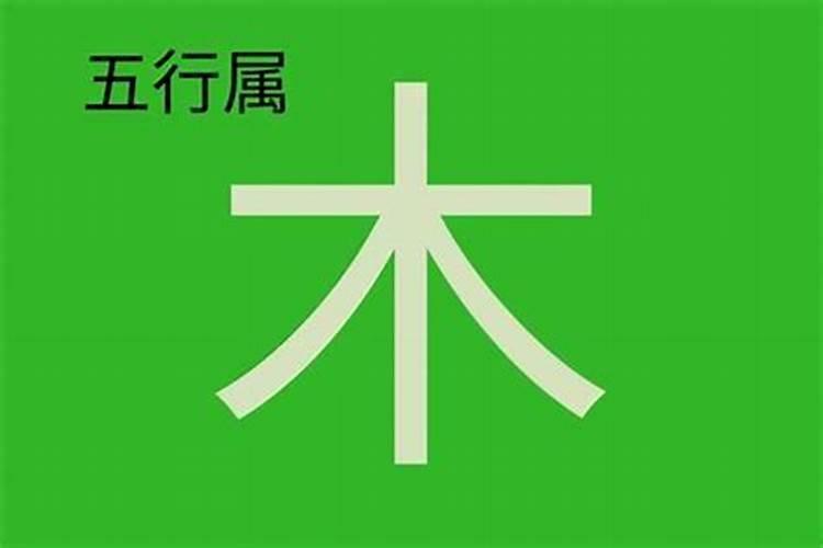 杨字属于五行属什么