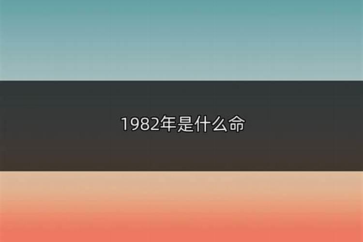 属猪的2019年运势咋样