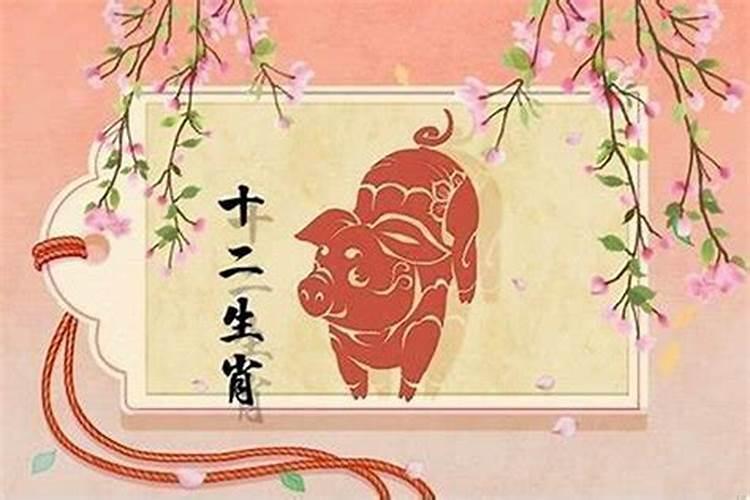 属猪今年运势如何