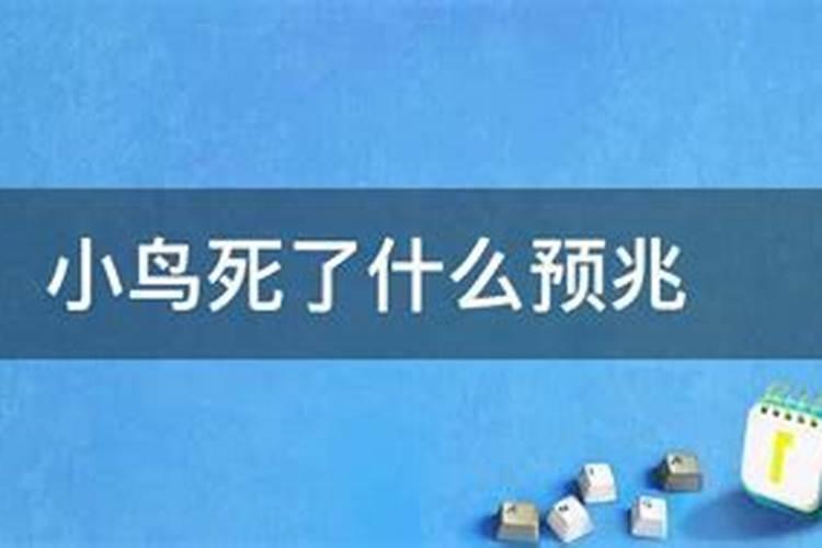 梦见一盆活鱼怎么回事