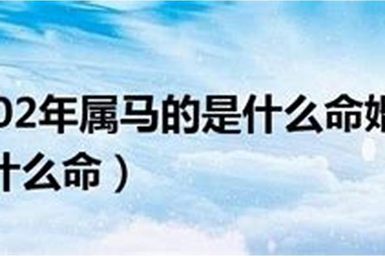 阳历5月15号是什么星座