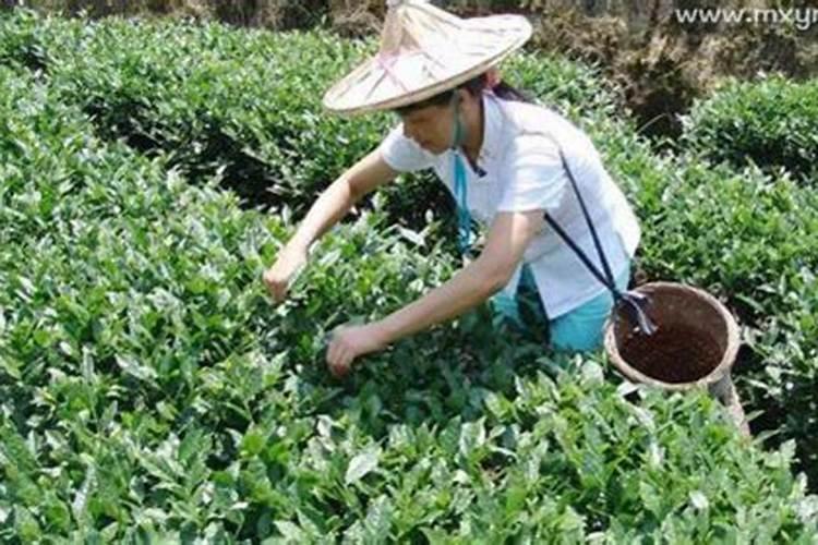 天秤座女和什么星座女最配做闺蜜