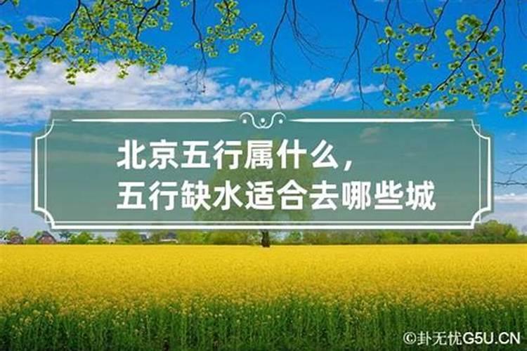 带什么招财招桃花