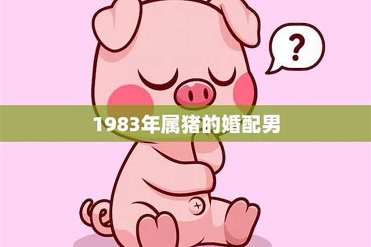 1983年属猪是什么命女