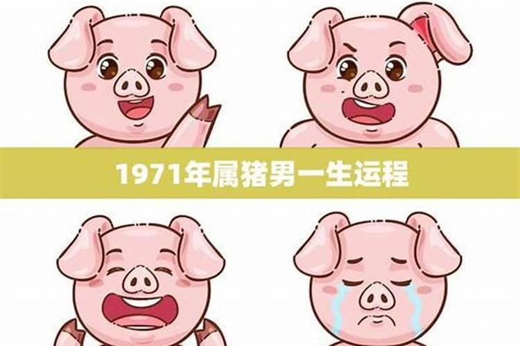 1971年属猪人一生命运