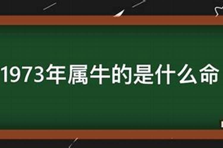 孕妇梦到小牛犊预示着什么