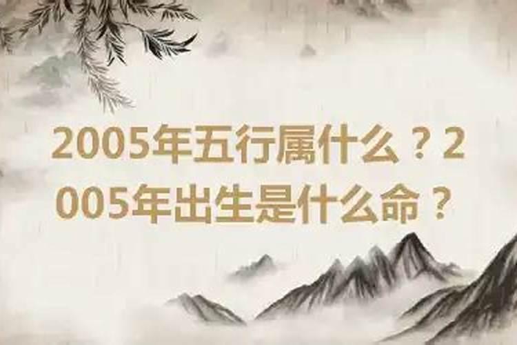 属狗的2021年多少岁了呢