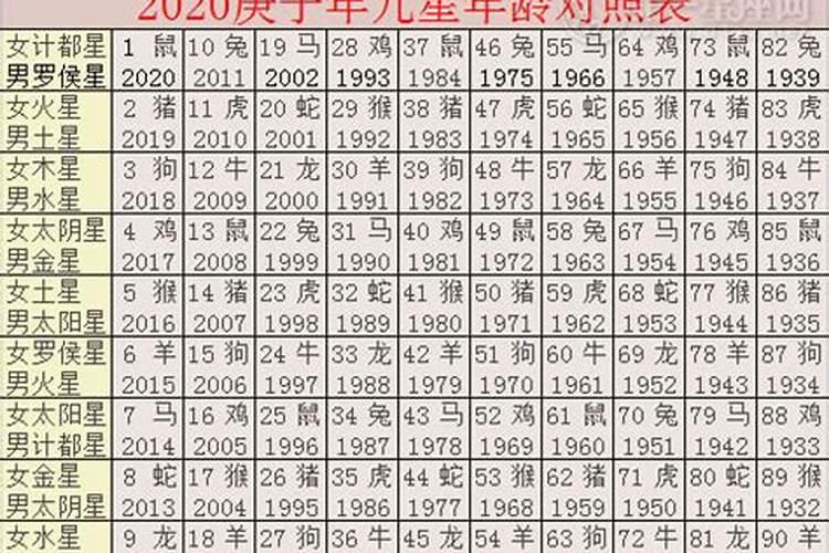 1966年出生的属马人2022年的运势