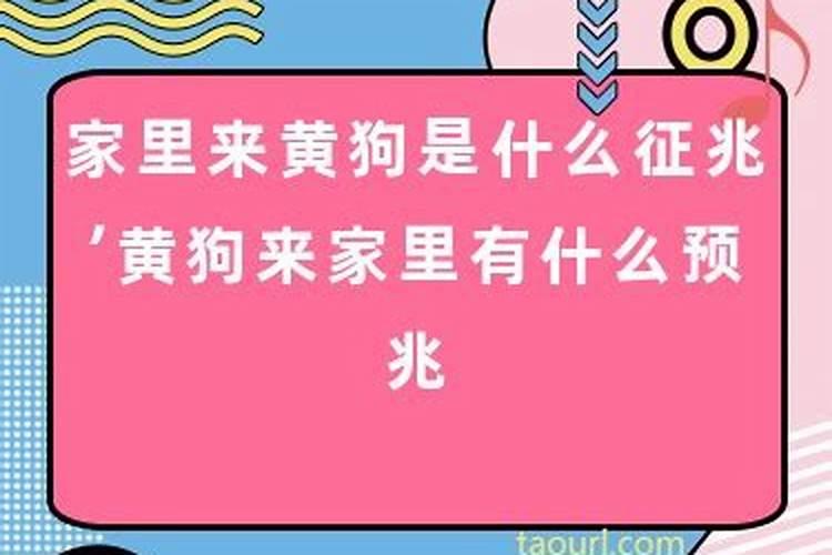 孕妇做梦梦见吃面条是啥意思呀周公解梦