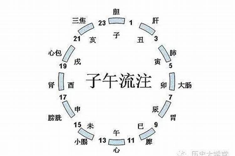 梦见老鼠咬住自己的脚是什么意思呀女生生气了