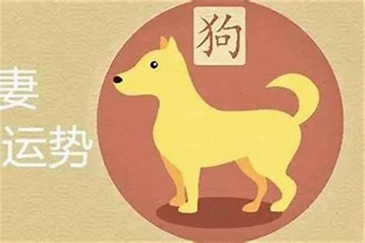 属马的11月生日是什么命格