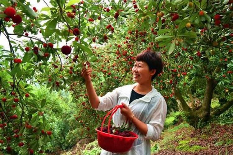 女人梦到下雨打伞啥意思