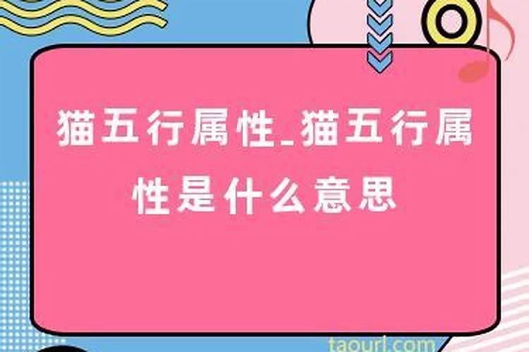 梦见蚯蚓和蛆什么意思啊周公解梦