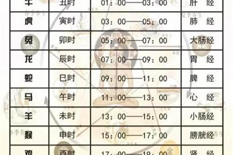 大门朝西的房子财神位在哪里