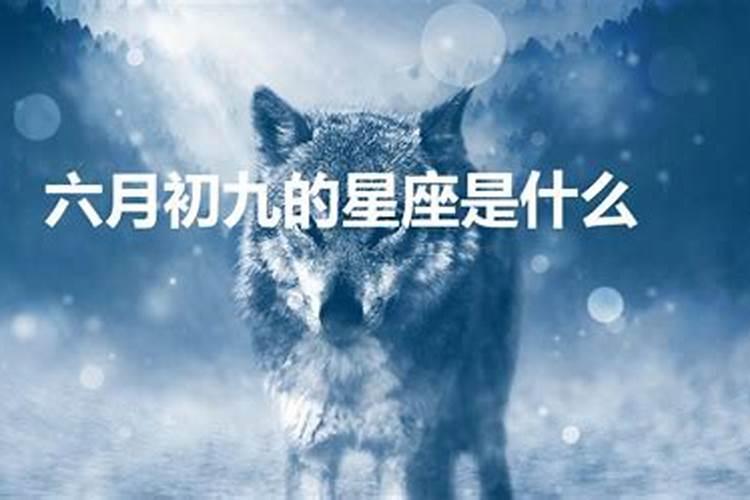 80年出生的猴2023年运势