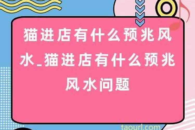 八字测未来对象长什么样子