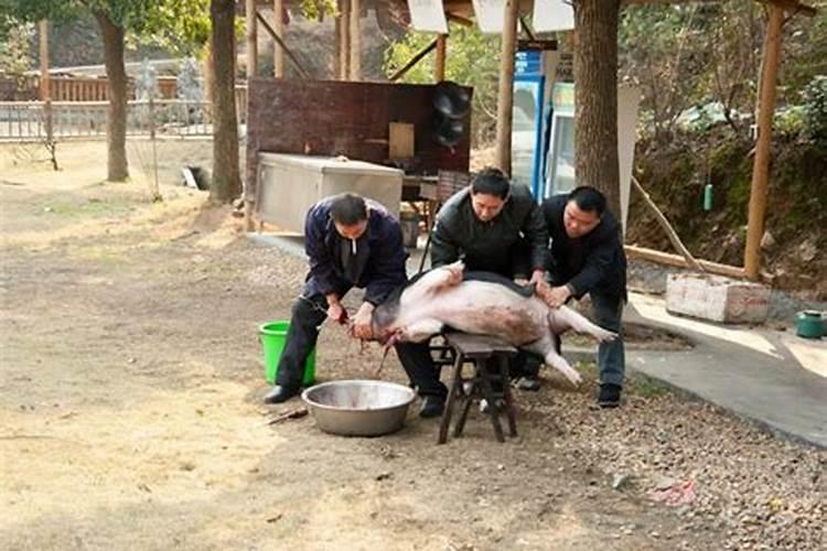 属虎男和属龙女结婚相配吗好吗