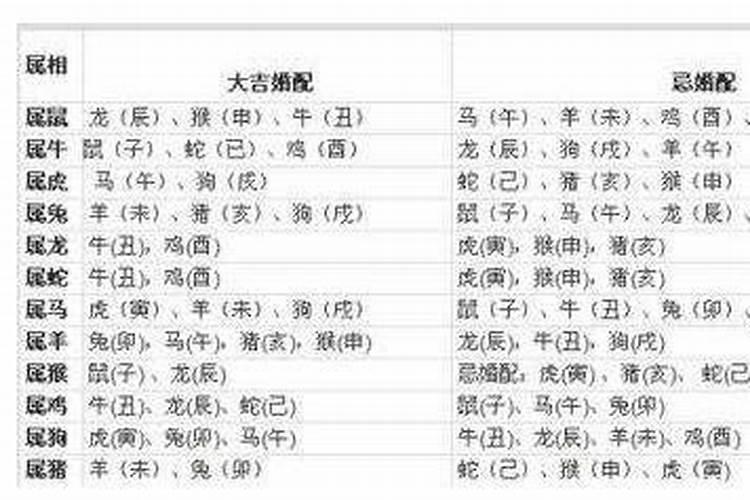 属猪的今年多大2022年虚岁