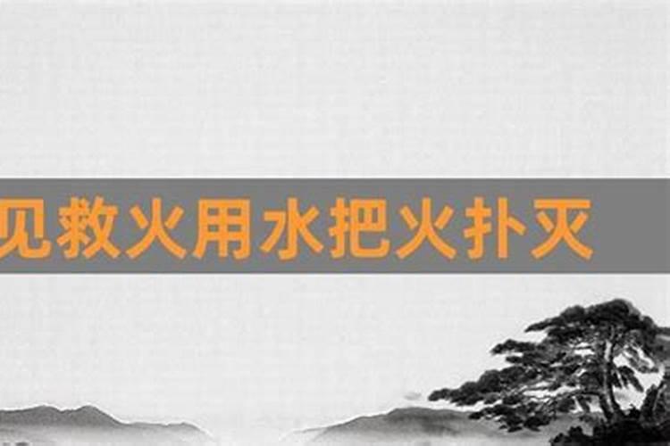 杨字在五行属什么