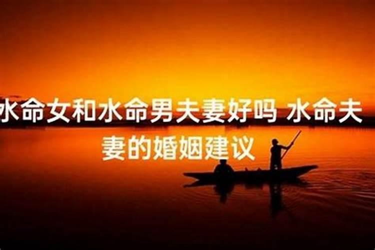 梦见红薯苗是什么意思周公解梦