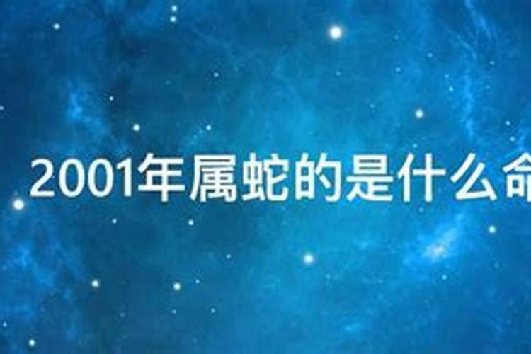 属猴人今年财运方位怎么样