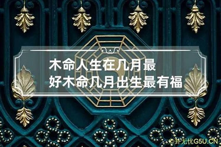 做梦梦见老鼠什么征兆周公解梦