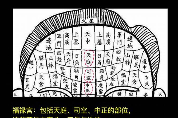 2004年属猴人是什么命什么五行住几楼花