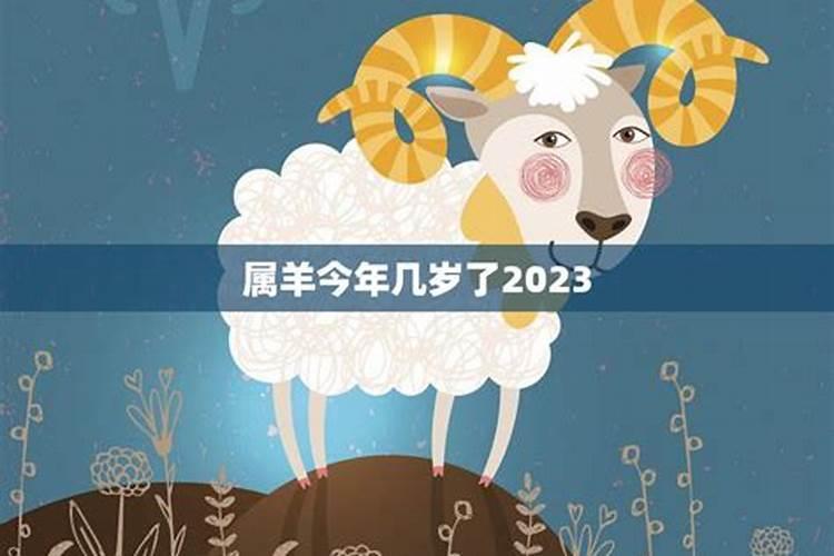 2023属鼠人的全年运势如何