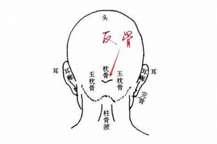 怎么追一个白羊座的男生