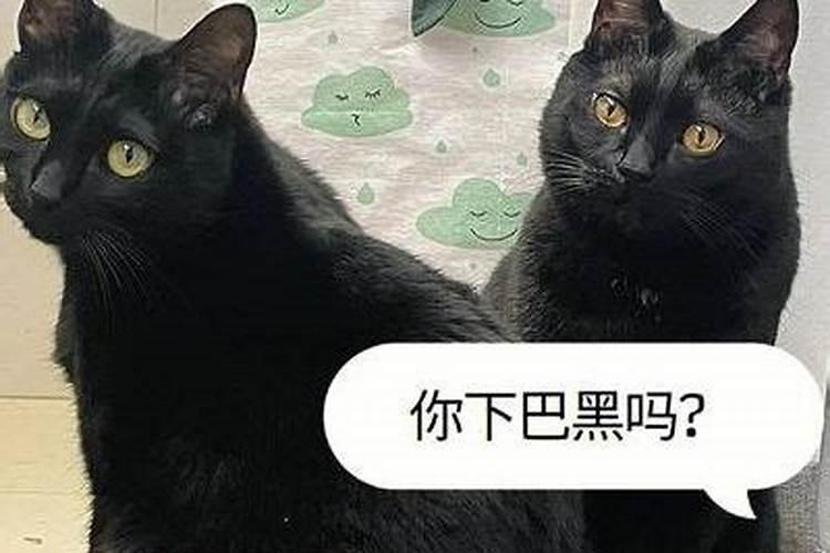 梦见买猪肉好吗什么意思