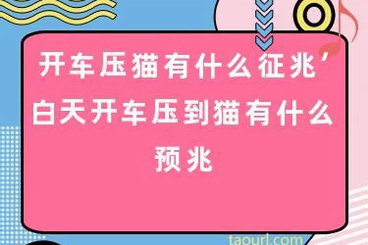 梦见运气好是什么意思周公解梦