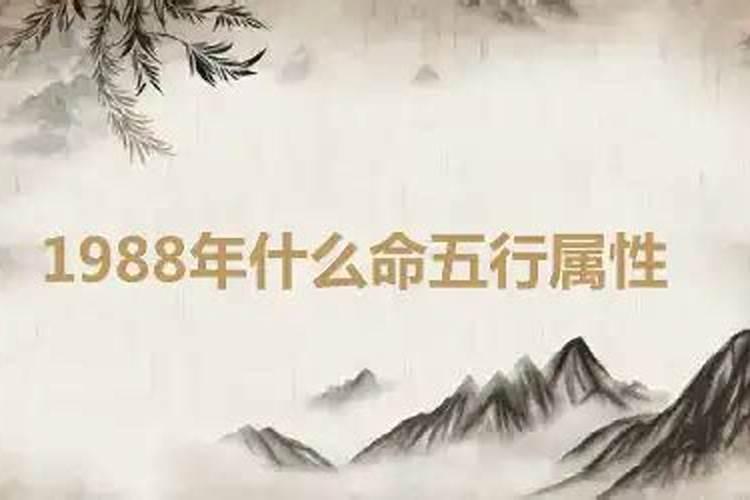 注定能成大事的4大生肖是什么